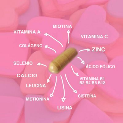ingredientes ingredientes